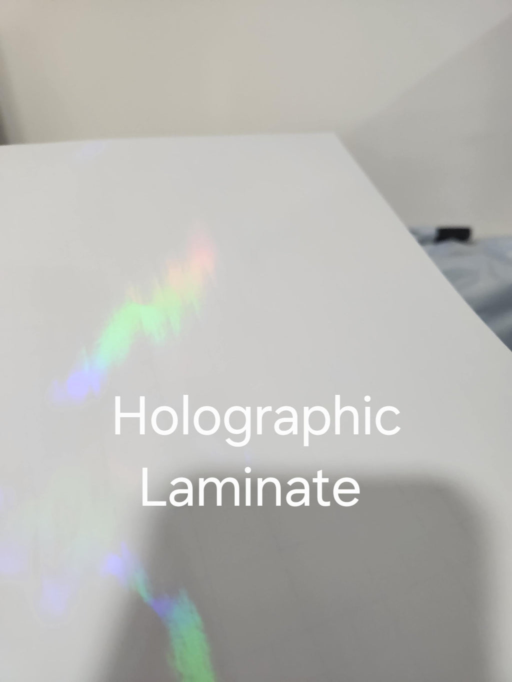 Talaria DNM Fork Gaurd Decals