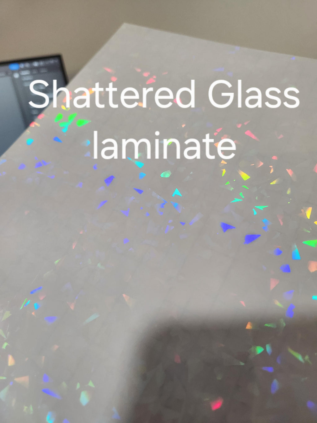 Talaria Sting Rear Fender Decal