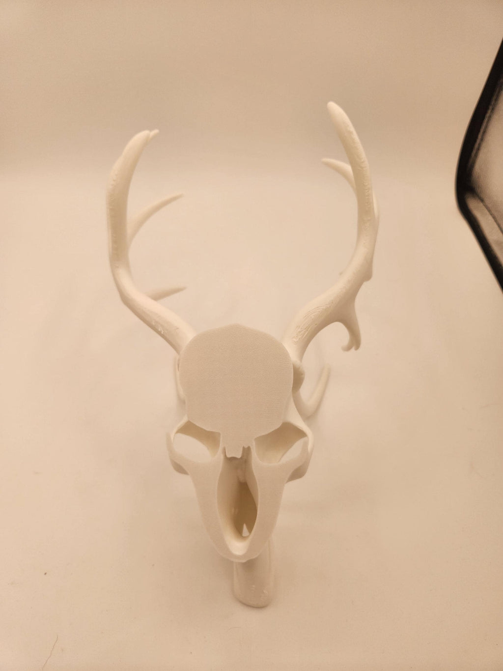 3D printed deer skulls