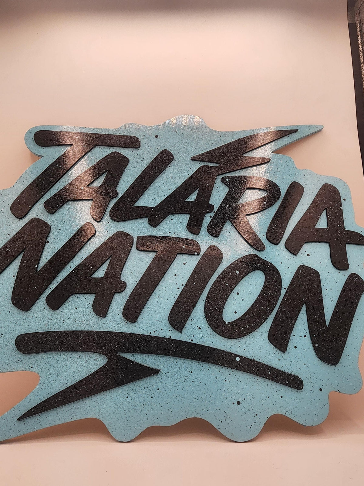 Laser Engraved E-Moto signs